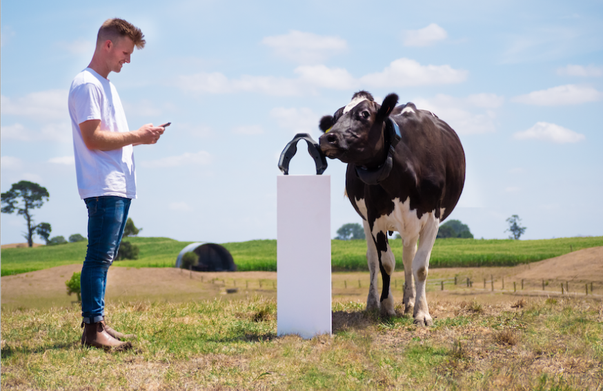 Gutscreative Blog image | Brand Strategy Consulting