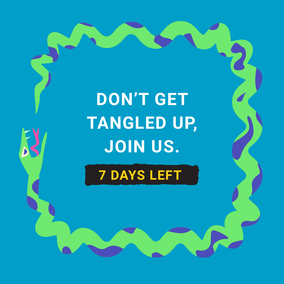 University of Newcastle - Animation Mayhem | Gutscreative | Creative Brand Agency