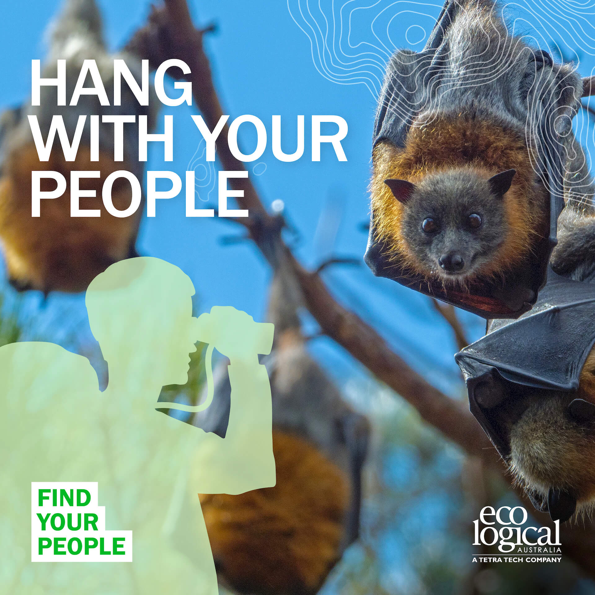 Eco logical australia image | gutscreative | Creative Brand Agency