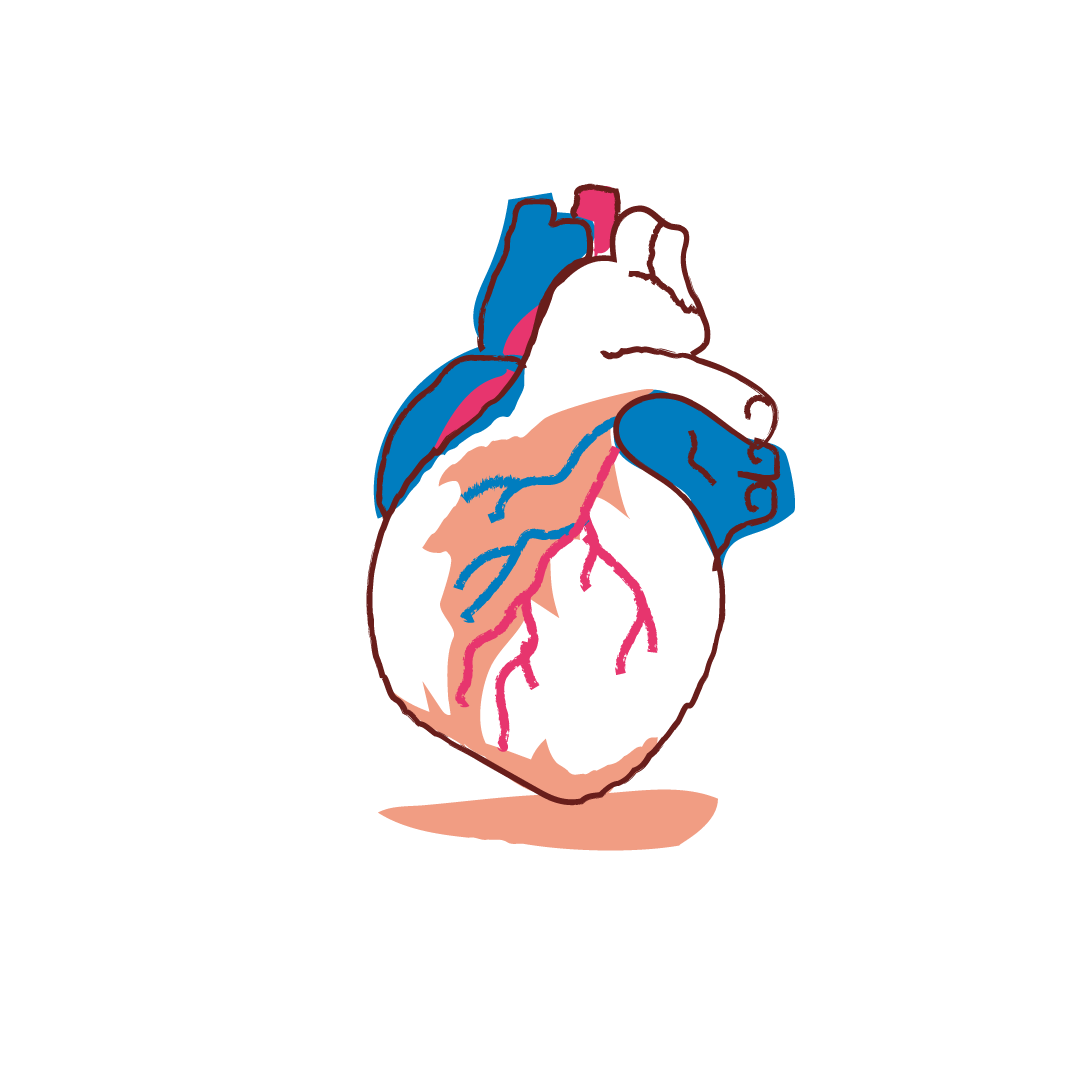 be human icon | gutscreative | Brand Strategy Agency