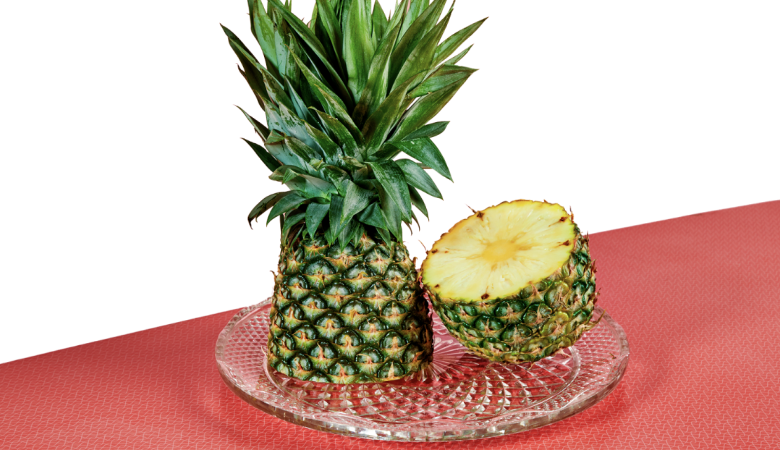 sharesies brand image